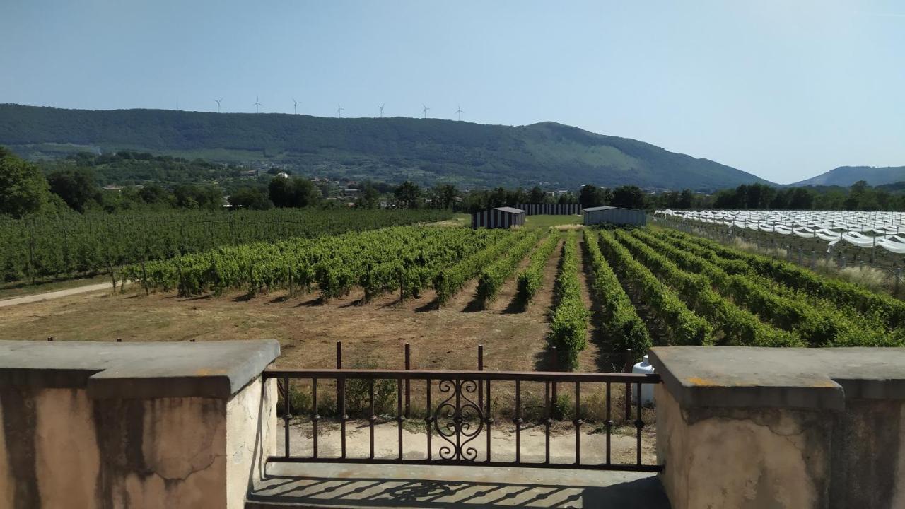 Agriturismo Il Casale Del Cavaliere SantʼAgata deʼ Goti Εξωτερικό φωτογραφία