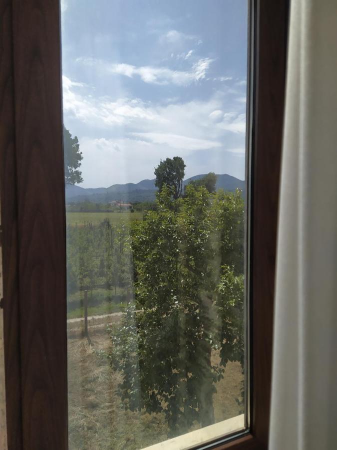 Agriturismo Il Casale Del Cavaliere SantʼAgata deʼ Goti Εξωτερικό φωτογραφία
